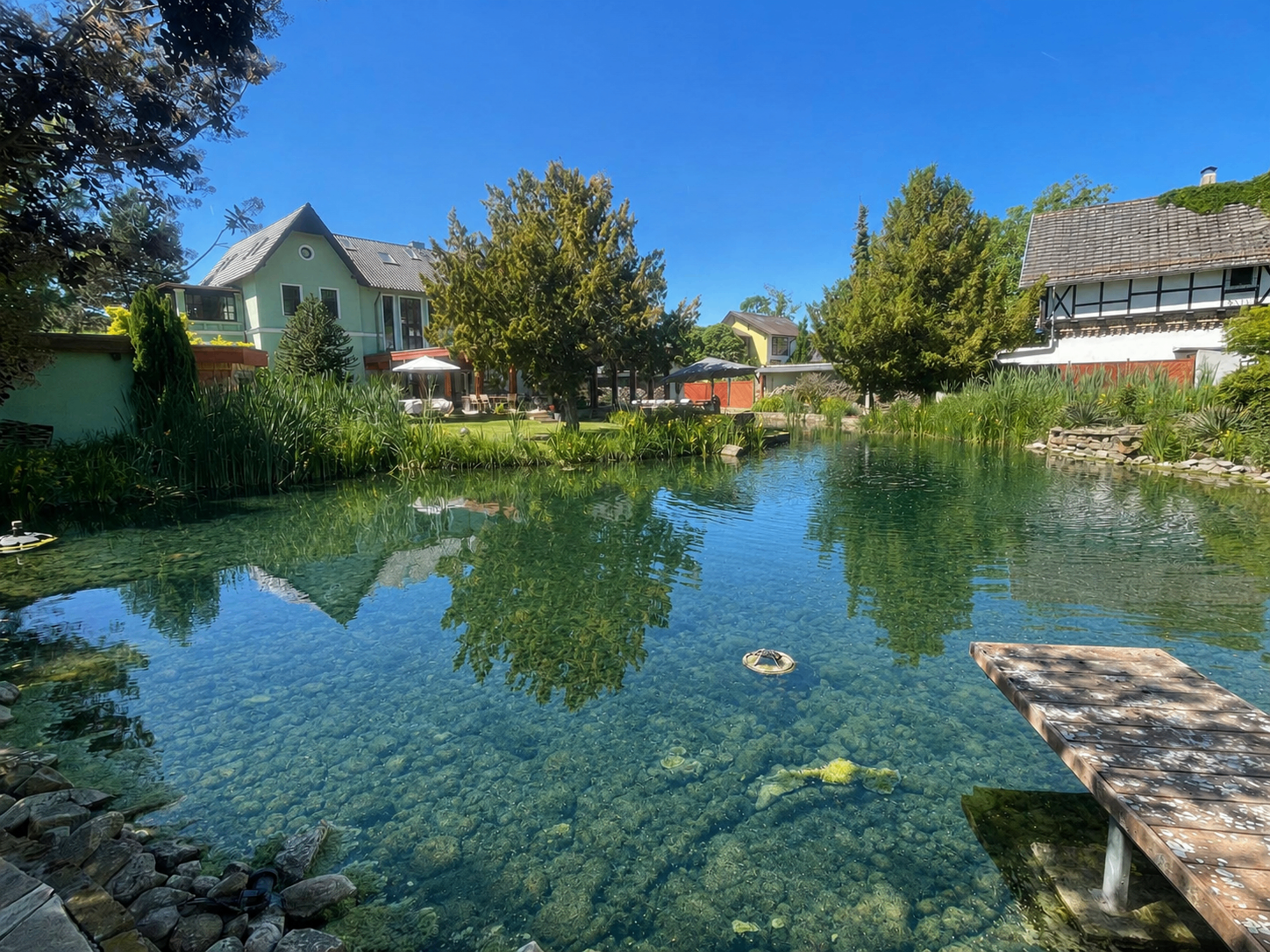 Schwimmteich mit Holzsteg